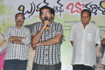 Brother Of Bommali Movie Success Meet